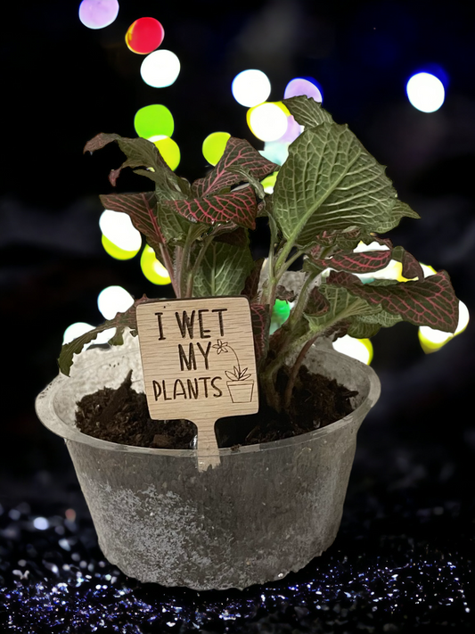 I Wet My Plants - Plant Stick