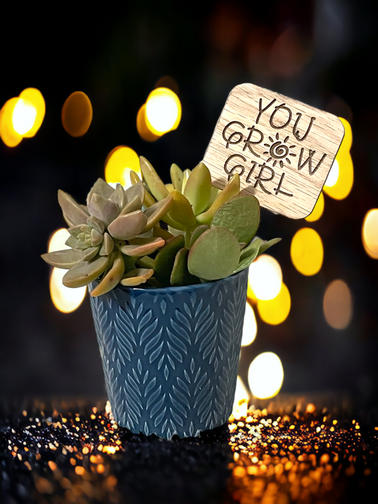 You Grow Girl - Plant Stick