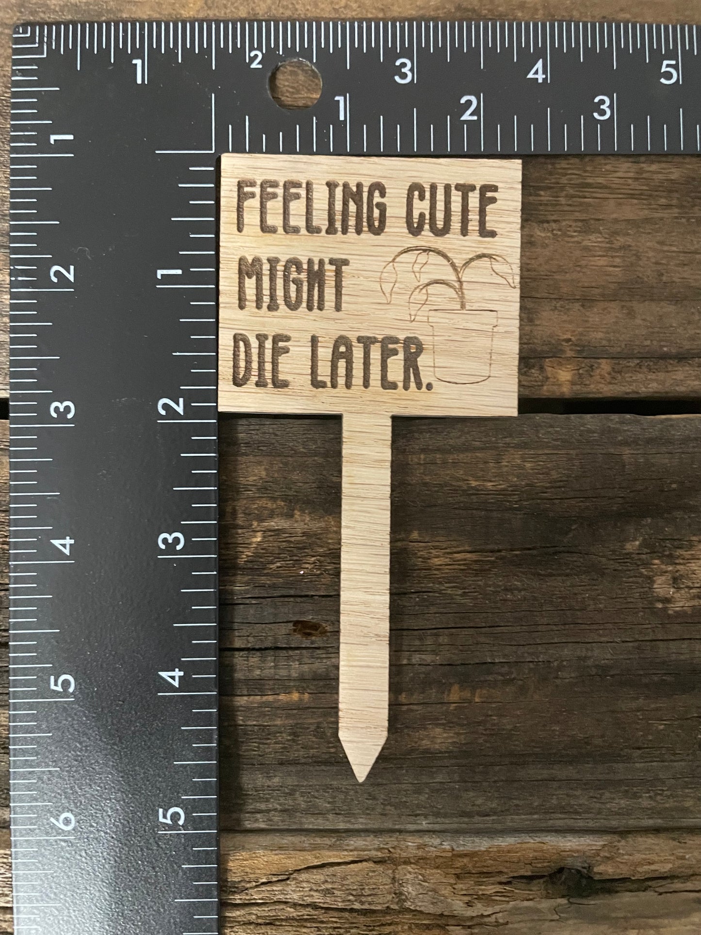 Feeling Cute Might Die Later- Plant Stick