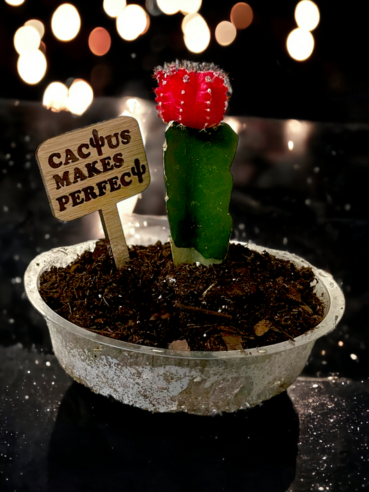 Cactus Makes Perfect - Plant Stick