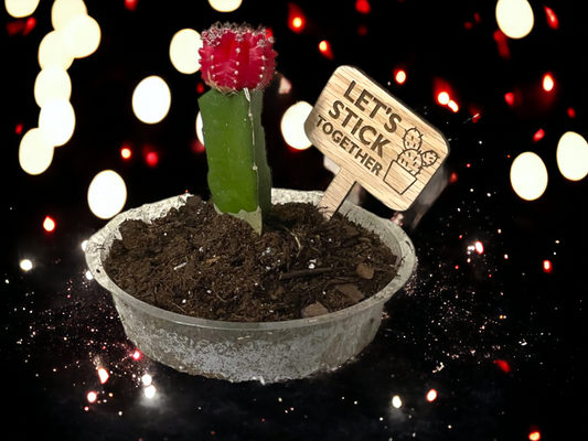 Let's Stick Together- Plant Stick