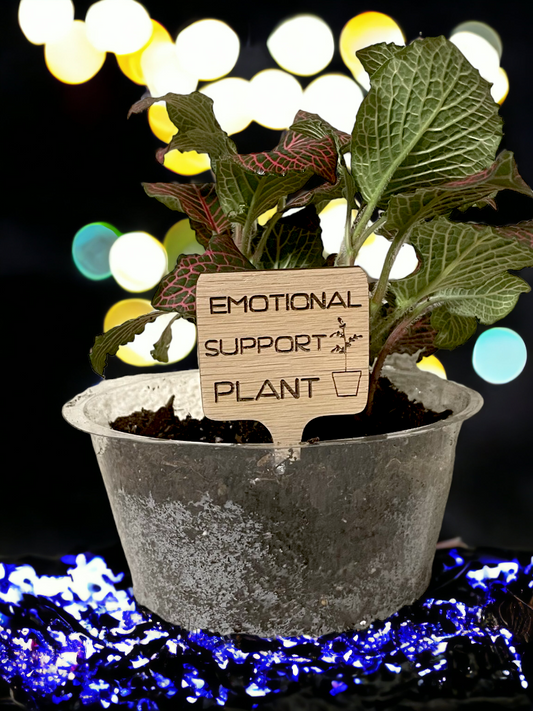 Emotional Support Plant - Plant Stick