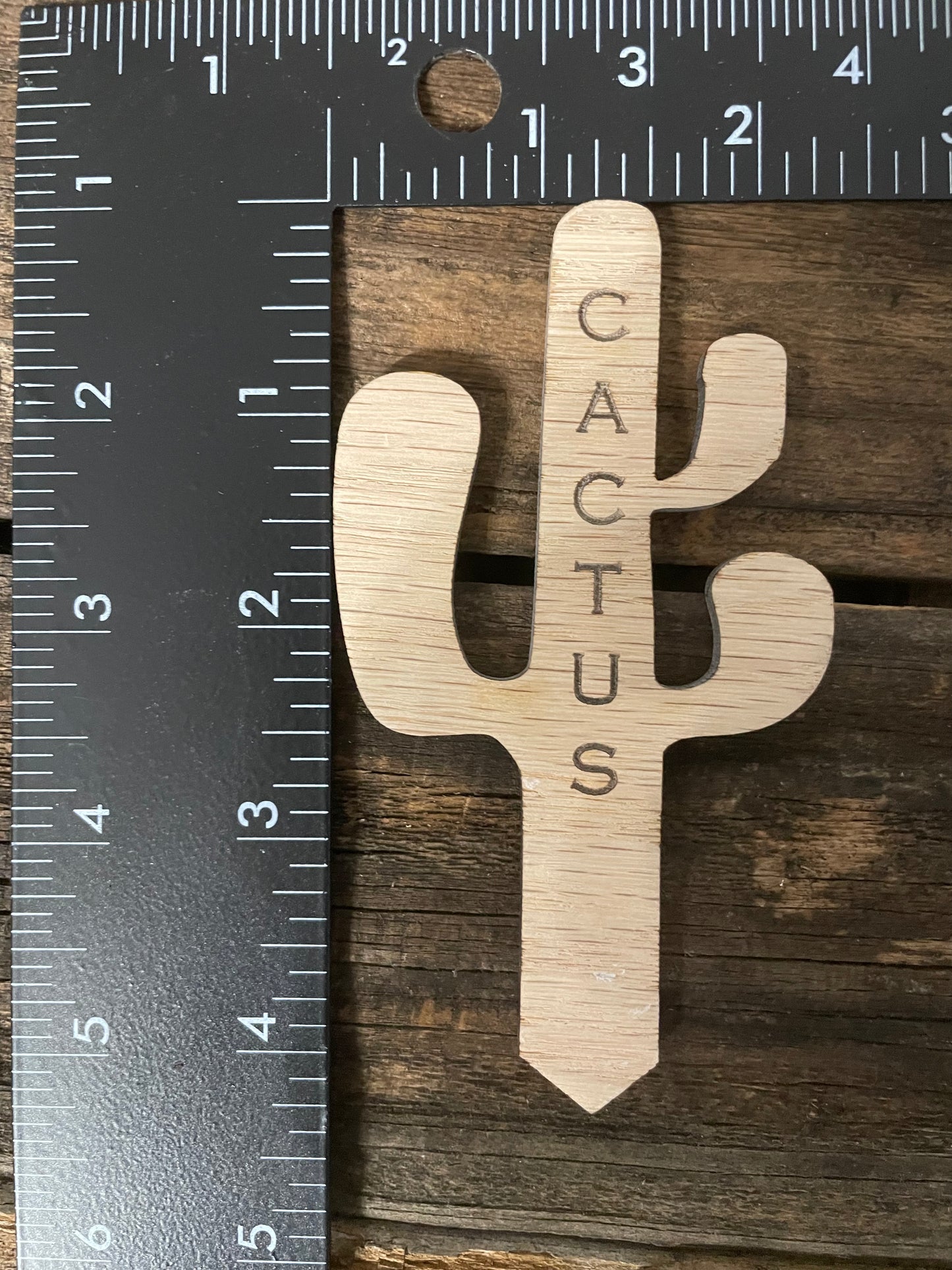 Cactus- Plant Stick