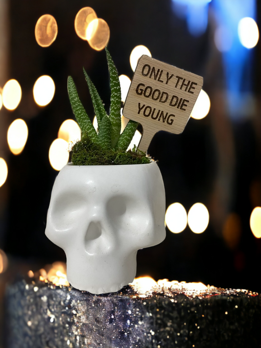 Only The Good Die Young - Plant Stick