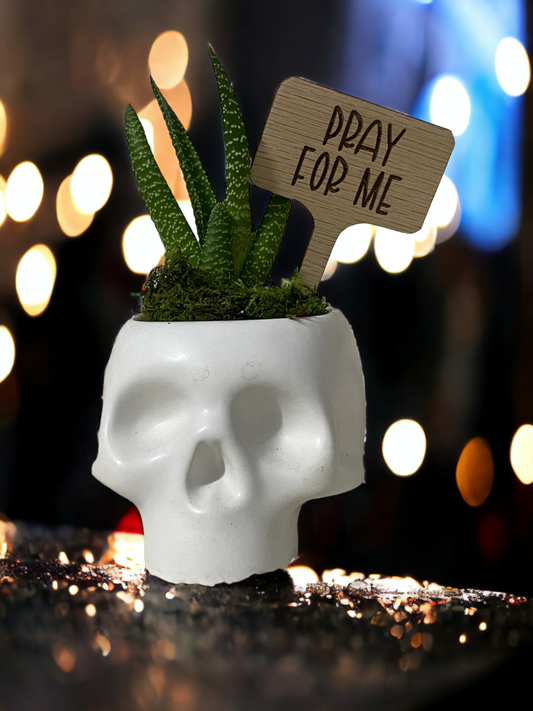 Pray For Me - Plant Stick