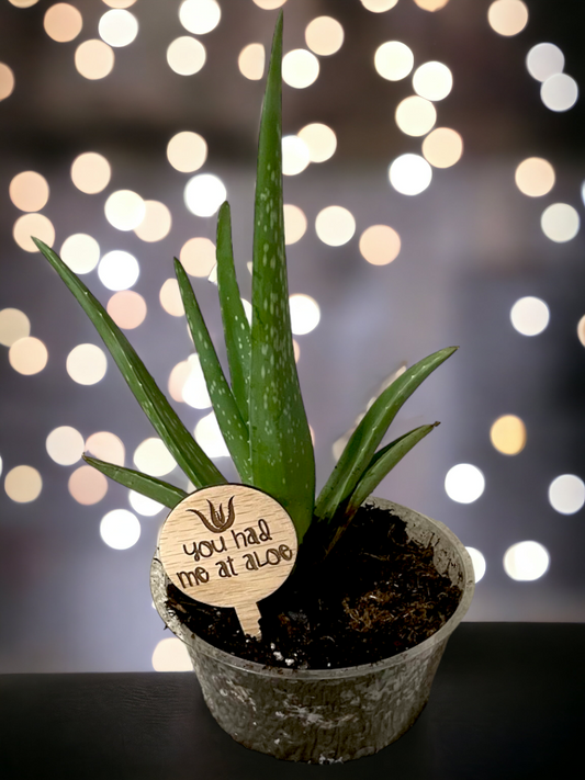 You Had Me At Aloe- Plant Stick