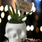 Grow, Dang It! - Plant Stick